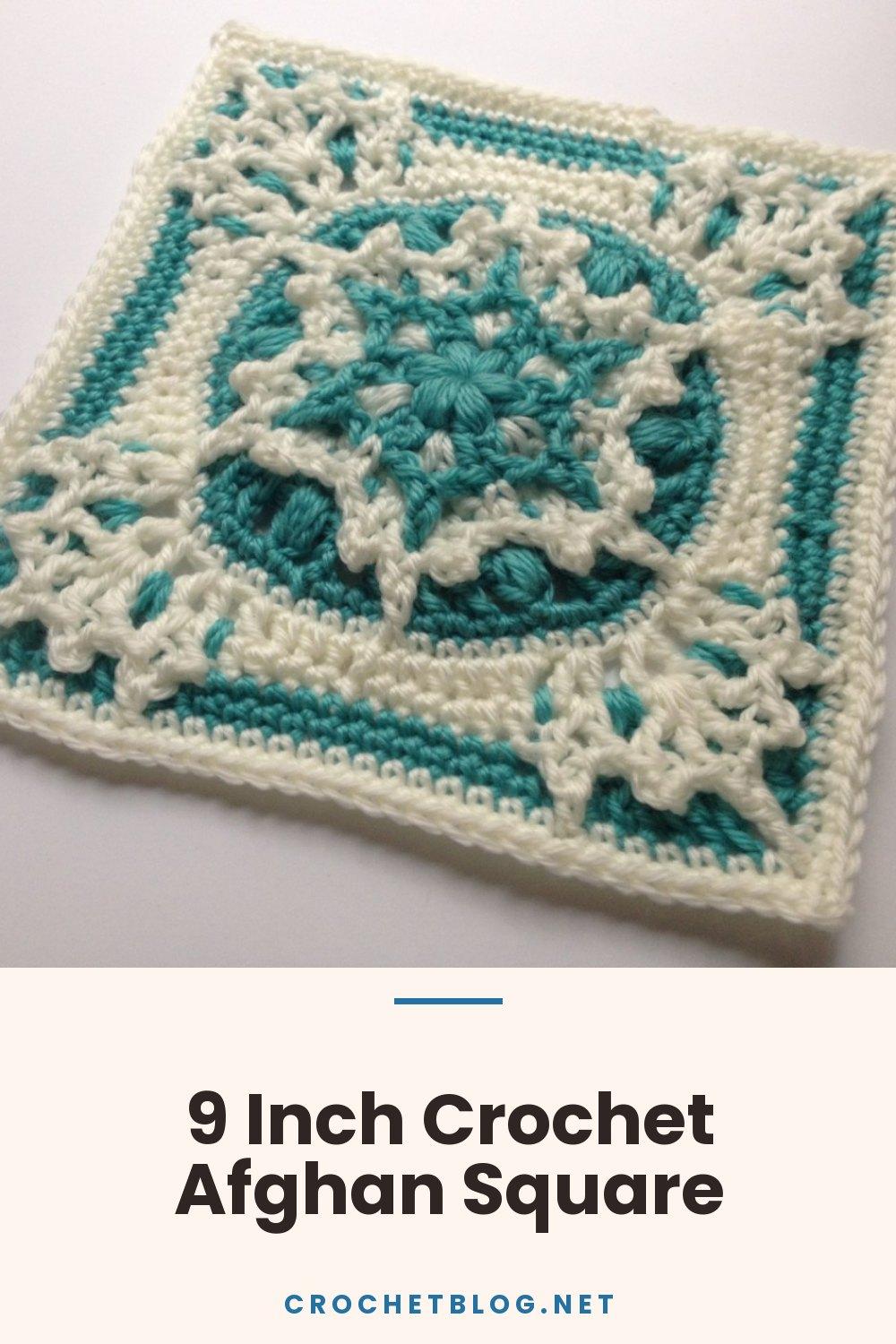 9 Inch Crochet Afghan Square