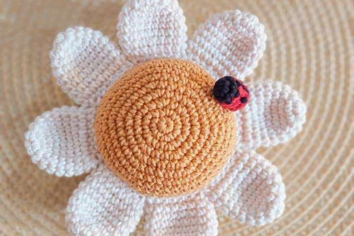 Crochet Daisy Pattern 6