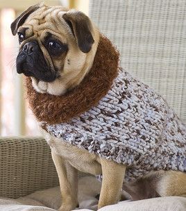 Dog Sweater crochet 1