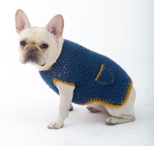 Dog Sweater crochet 2