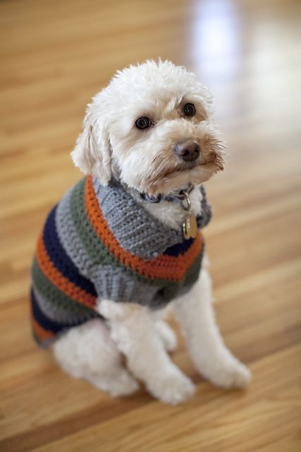 Dog Sweater crochet 3