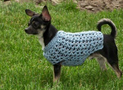 Dog Sweater crochet 5