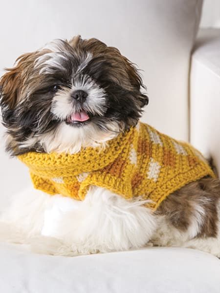 Dog Sweater crochet 6