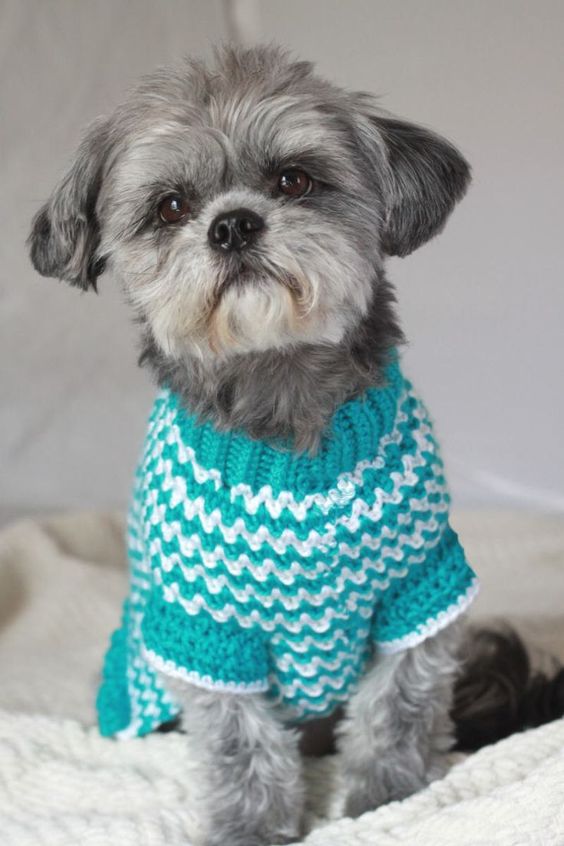 Dog Sweater crochet 7