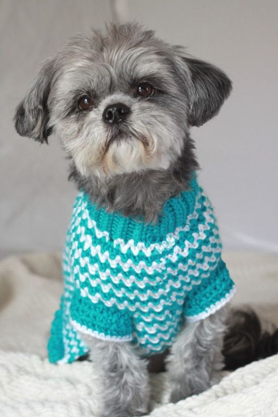 Simple Dog Sweater With Tutorial