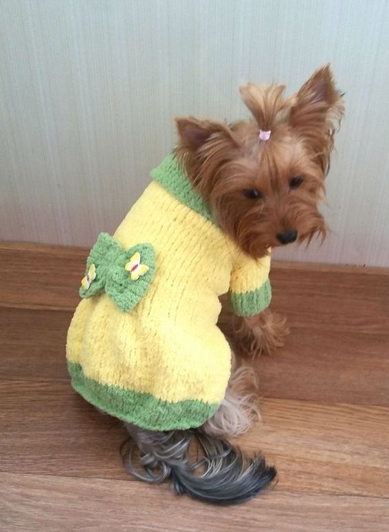 Dog Sweater crochet 8