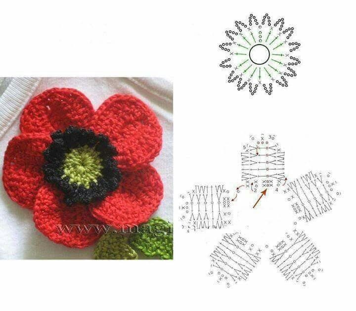 crochet a beautiful poppy 5