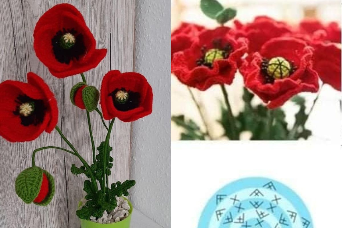 crochet a beautiful poppy 9