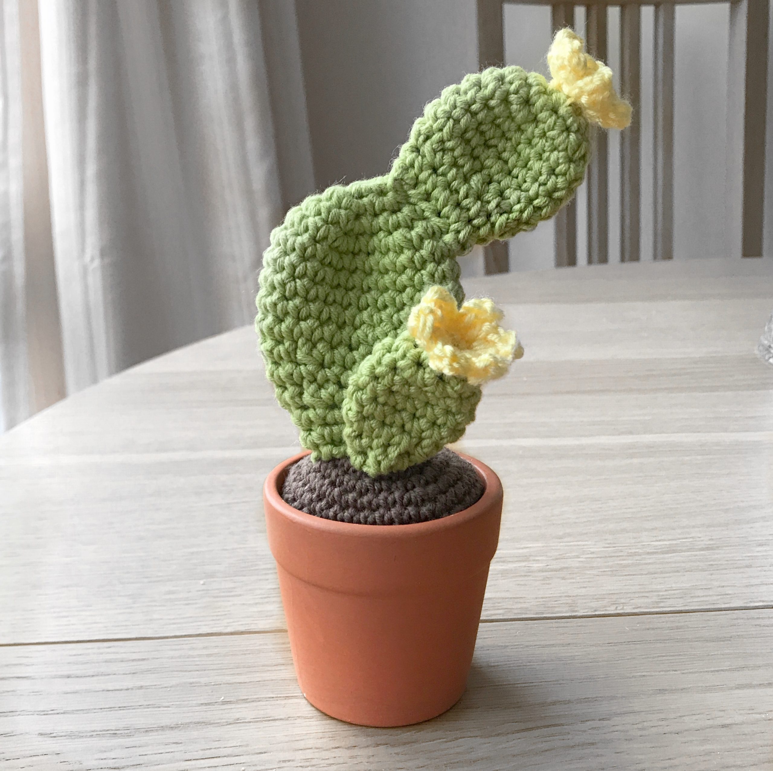 crochet cactus ideas 10 scaled