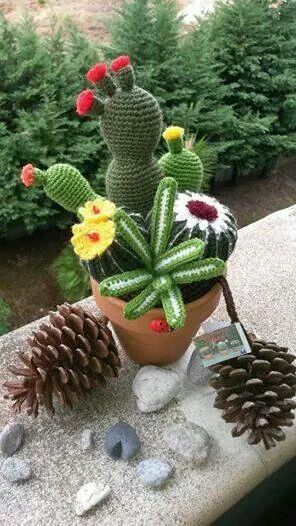 crochet cactus ideas 14