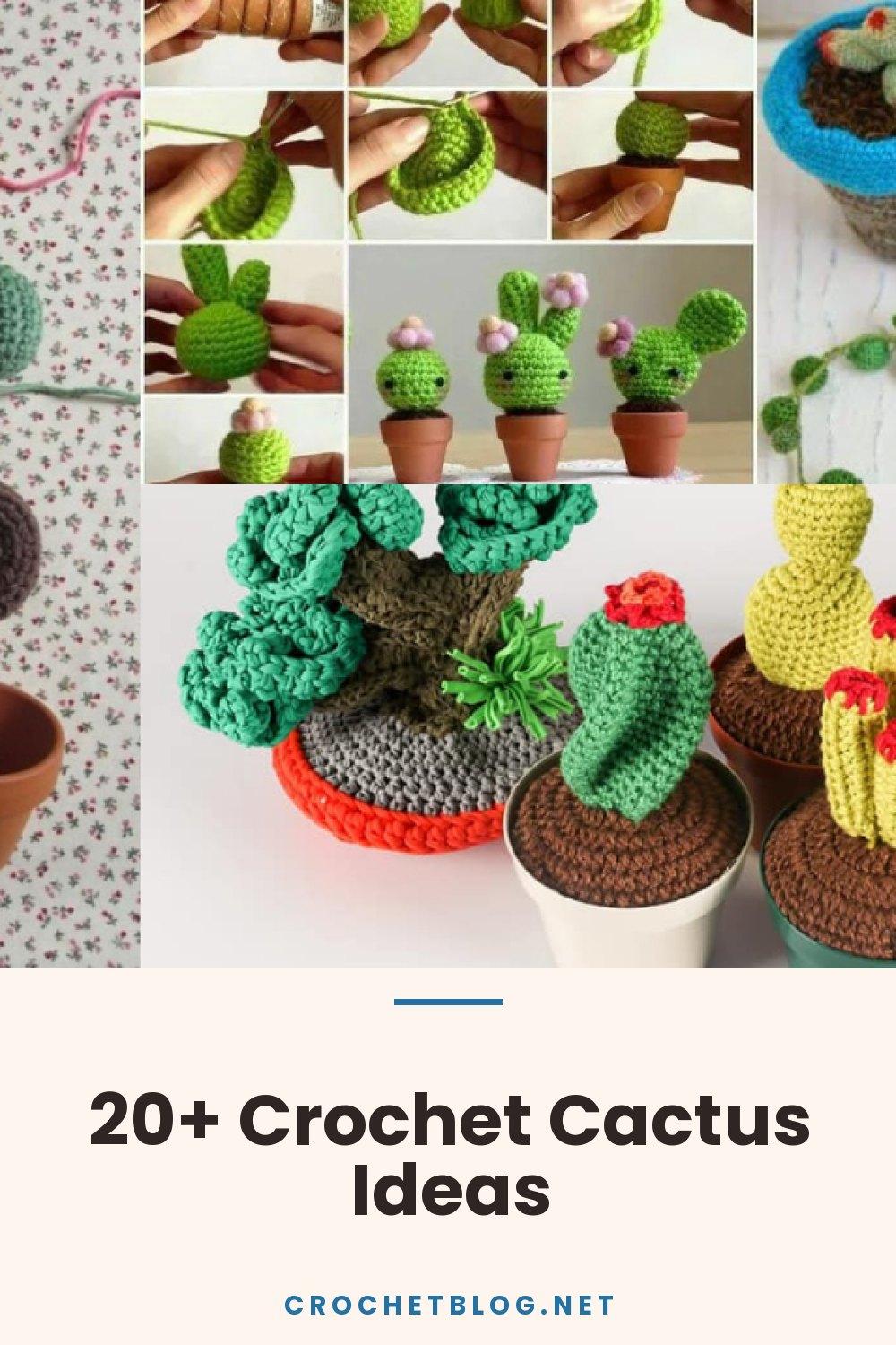 20+ Crochet Cactus Ideas