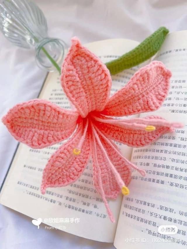 crochet christmas star flower