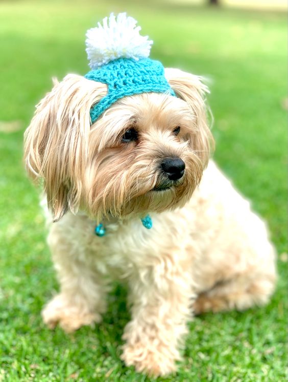 crochet dog hat patterns 2