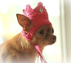 crochet dog hat patterns 3