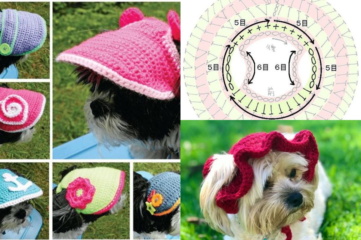crochet dog hat patterns 5