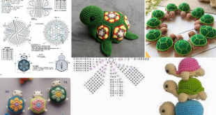 crochet turtles video graphics