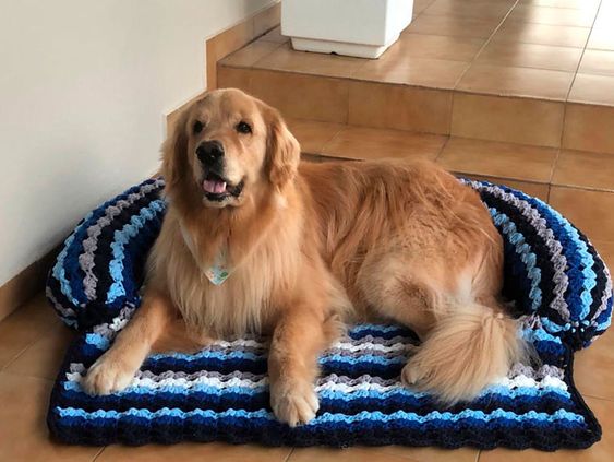 dog bed free crochet pattern and ideas