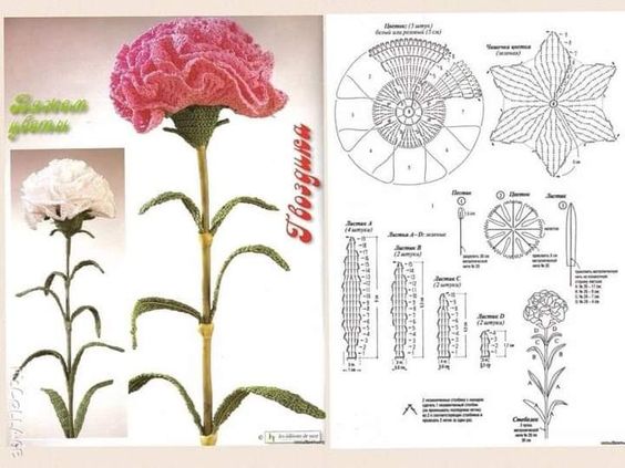 how to crochet a carnation flower 4