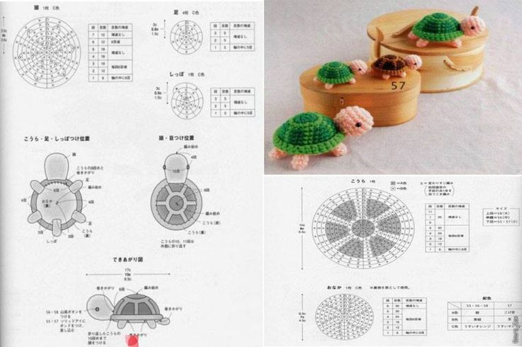 little turtle pattern crochet 3