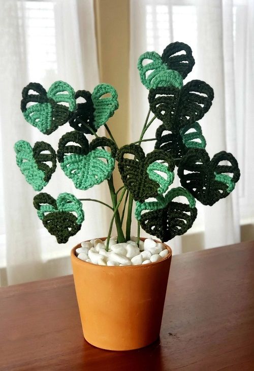 monstera plants free crochet patterns 3