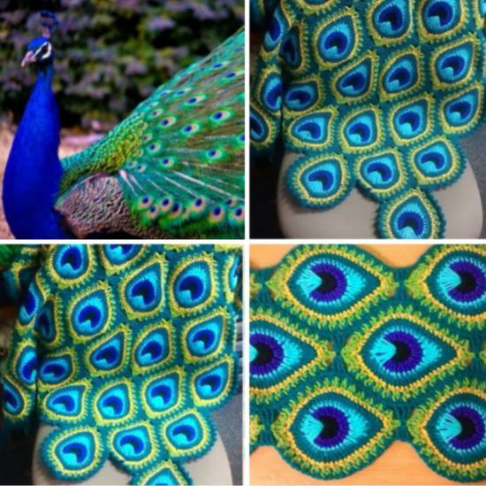 peacock pretty blanket 1 1