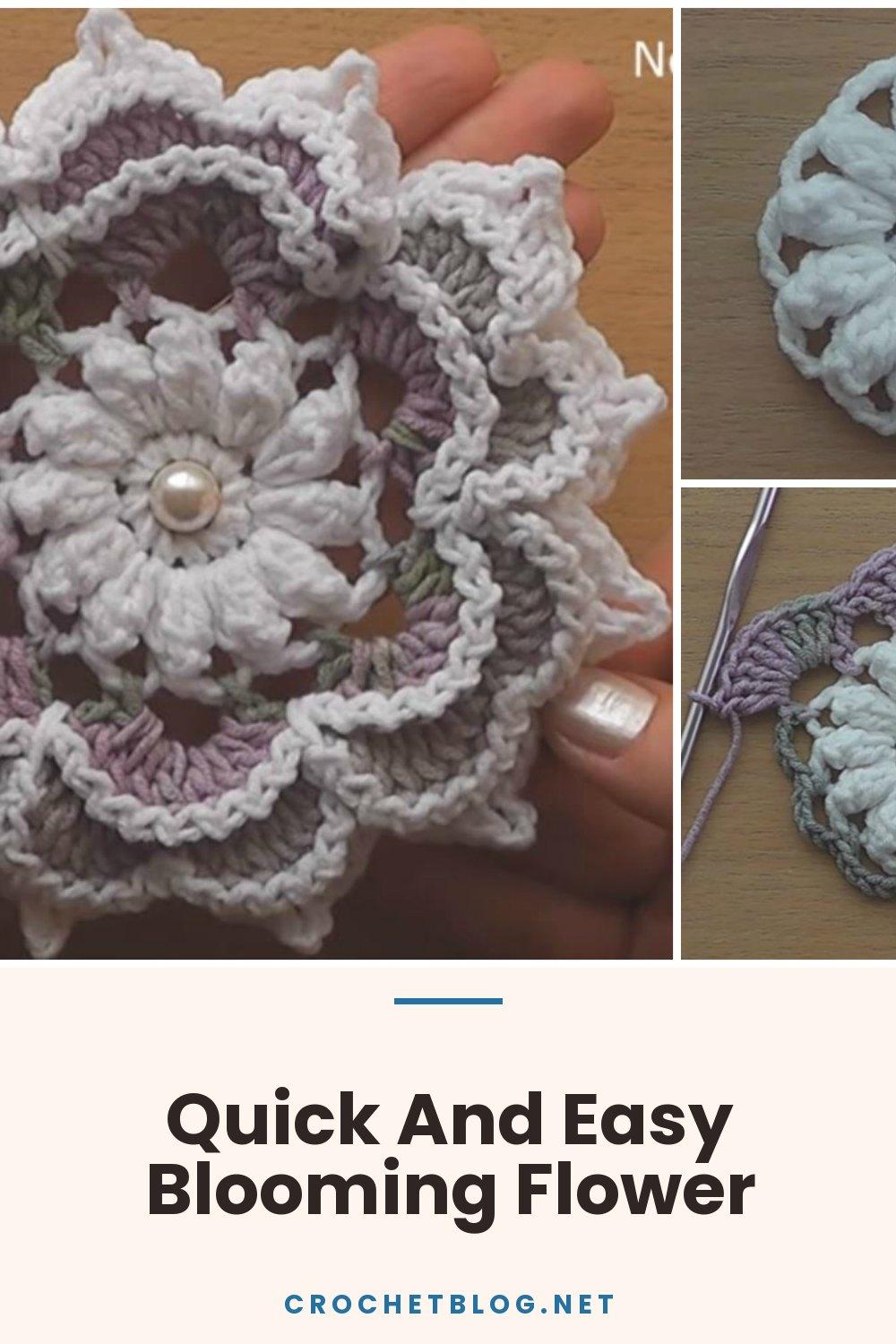 Quick And Easy Blooming Flower