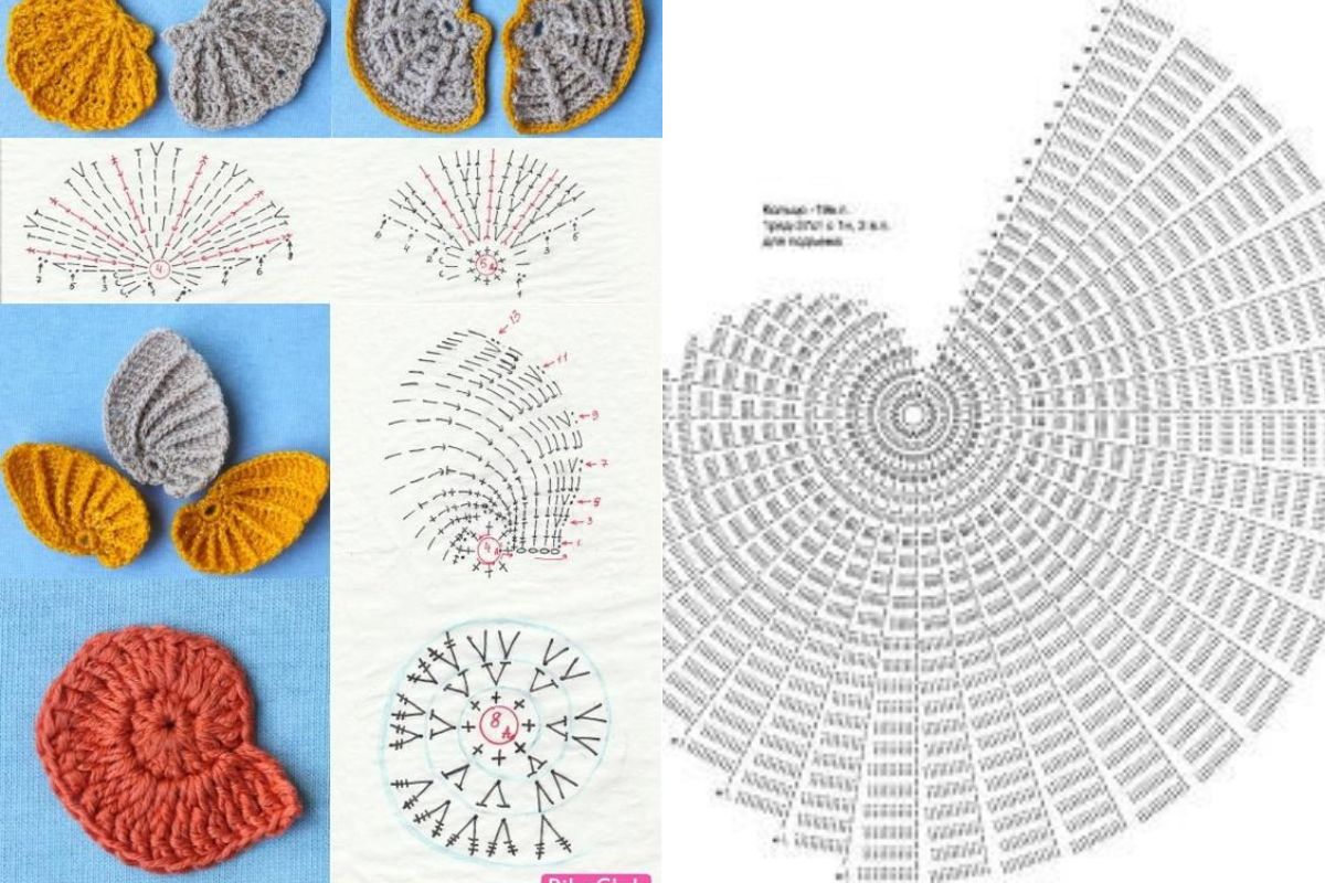 shells made from crochet graphics and ideas 2 1